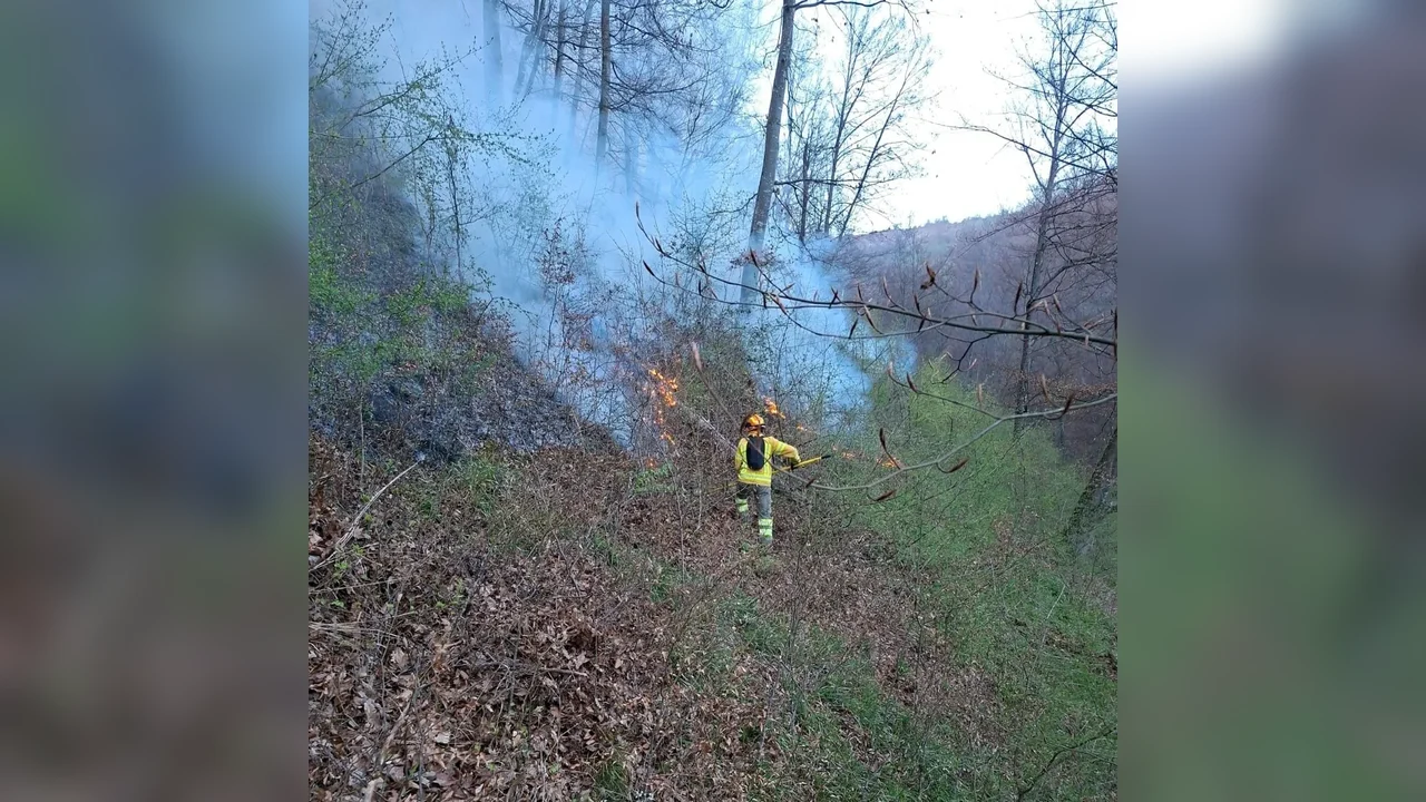 Case salvate la Telechiu și Valea Crișului, după 11 incendii într-o zi în Bihor