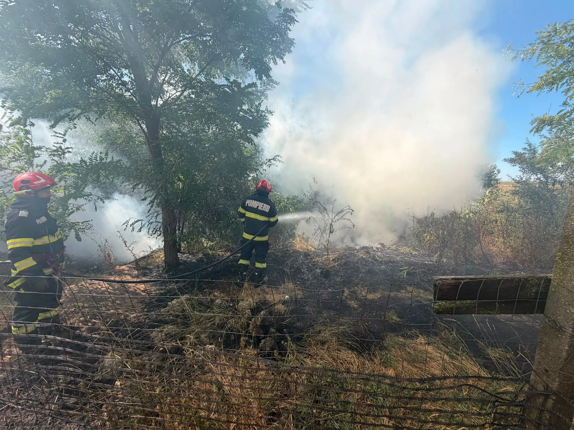 Bihor: 15 focare de vegetație în weekend, aproape 40 de hectare cuprinse de flăcări